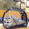 Geanta de Transport Transparenta pentru Animale de Talie Mica - Paw - imagine 3