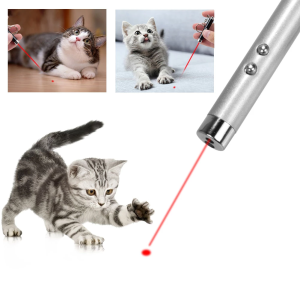 Jucarie laser pentru pisici