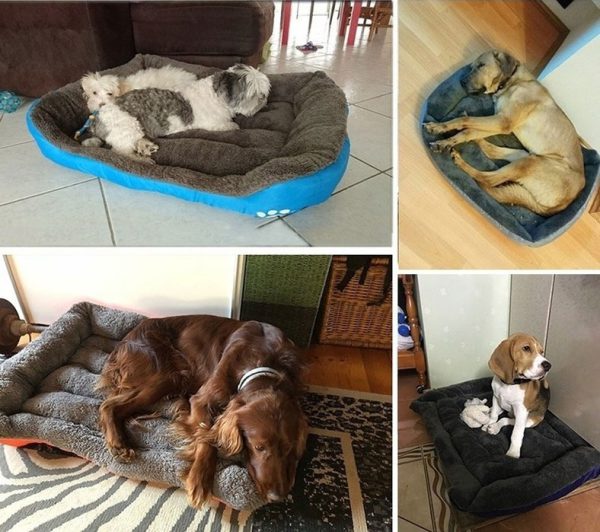 Pat pentru caini si pisici rezistent la apa Paw, diverse marimi si culori - imagine 9