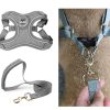 Set ham si lesa pentru caini GreyDream, diverse marimi, culoare GRI, L - imagine 3