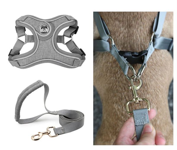 Set ham si lesa pentru caini GreyDream, diverse marimi, culoare GRI, M - imagine 3