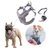 Set ham si lesa pentru caini GreyDream, diverse marimi, culoare GRI, L - imagine 4