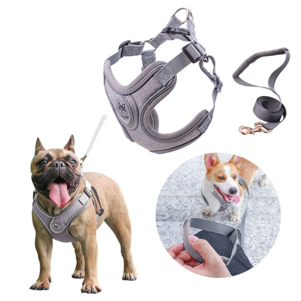 Set ham si lesa pentru caini GreyDream, diverse marimi, culoare GRI, M - imagine 4