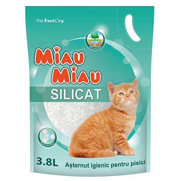 ASTERNUT SILICATIC MIAU MIAU 3.8L