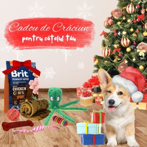 Cadou de Crăciun pentru CĂȚEI - gata de pus sub brad