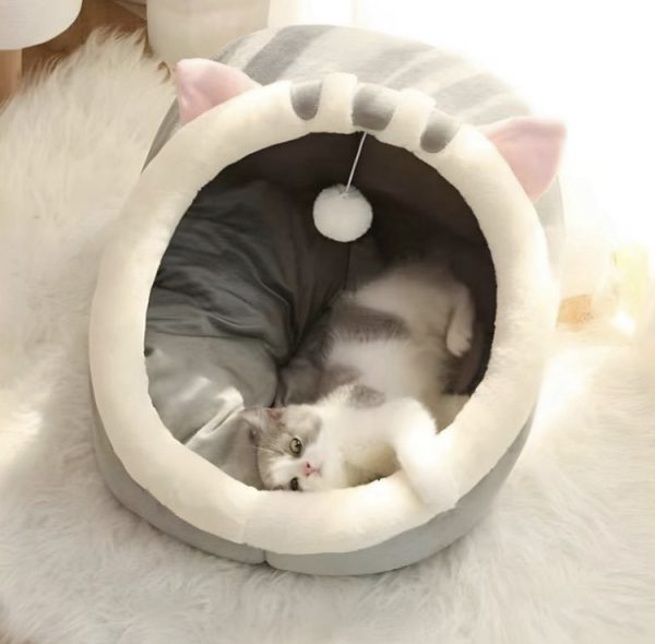 COS PENTRU PISICI SAU CATEI KITTY - imagine 2