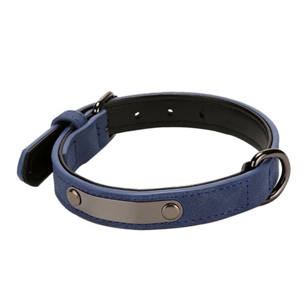 ZGARDA DIN PIELE, ROCKY, DIVERSE CULORI, MARIME S - imagine 10