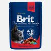Cadou de Crăciun pentru PISICI - gata de pus sub brad - imagine 2