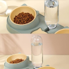 Castron dublu inclinat pentru caini si pisici cu adapator KITTY - imagine 8