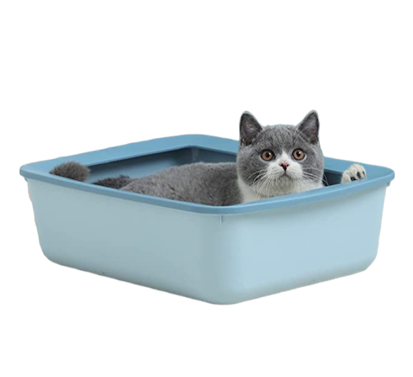 STARTER KIT pentru pisica - pachet de produse pentru animalutul tau - imagine 4