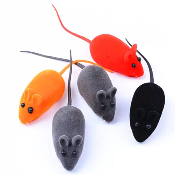STARTER KIT pentru pisica - pachet de produse pentru animalutul tau - imagine 5