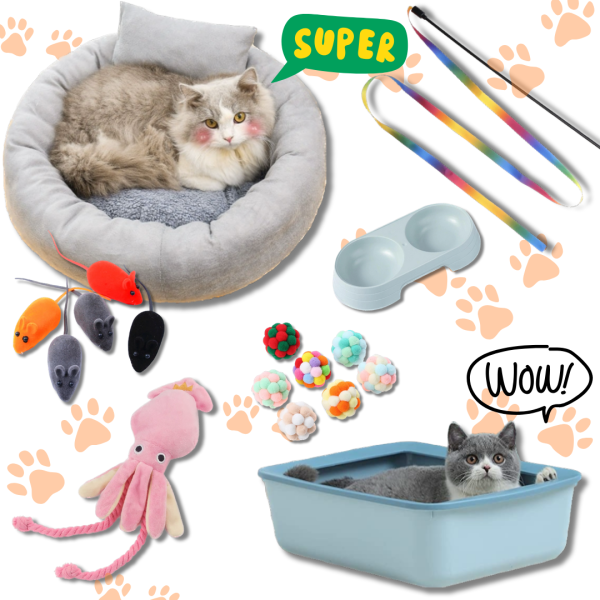 STARTER KIT pentru pisica - pachet de produse pentru animalutul tau
