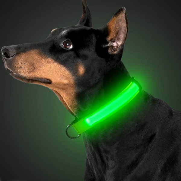 Zgarda vizibila noaptea cu LED si incarcare USB pentru caini, diverse marimi si culori, NEON, M