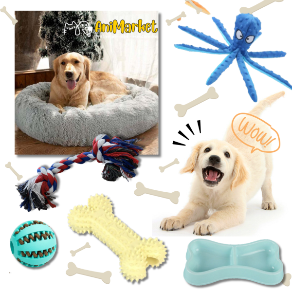 STARTER KIT pentru caine – pachet de produse pentru animalutul tau (economic)